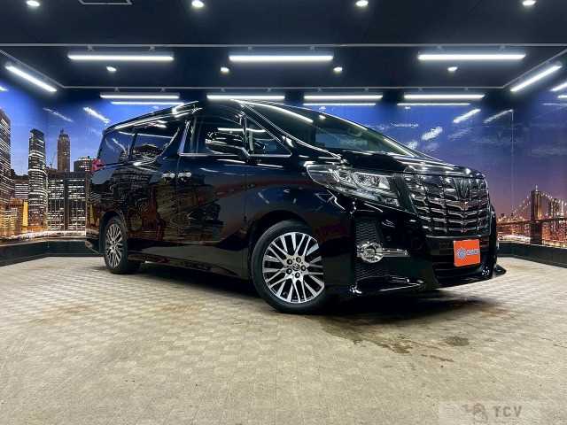 2015 Toyota Alphard G