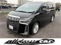 2019 Toyota Alphard G