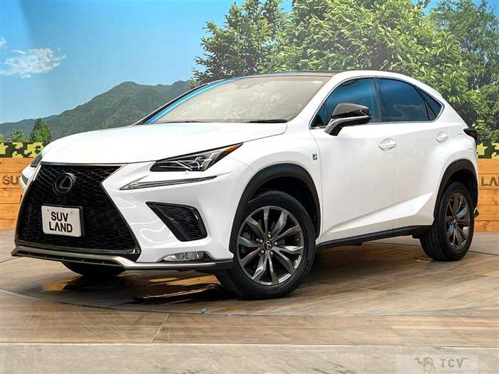 2018 Lexus NX