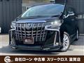 2019 Toyota Alphard G