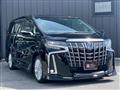 2019 Toyota Alphard G