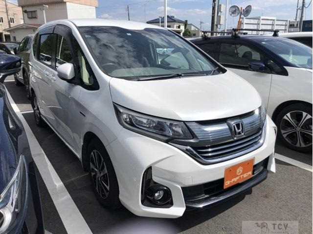 2019 Other All Other All