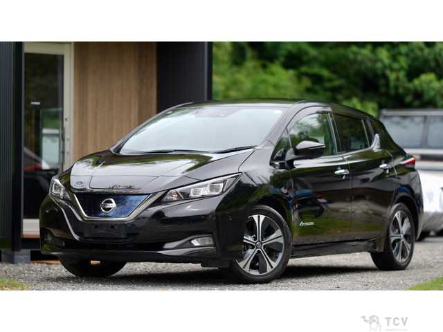 2021 Nissan Nissan Others