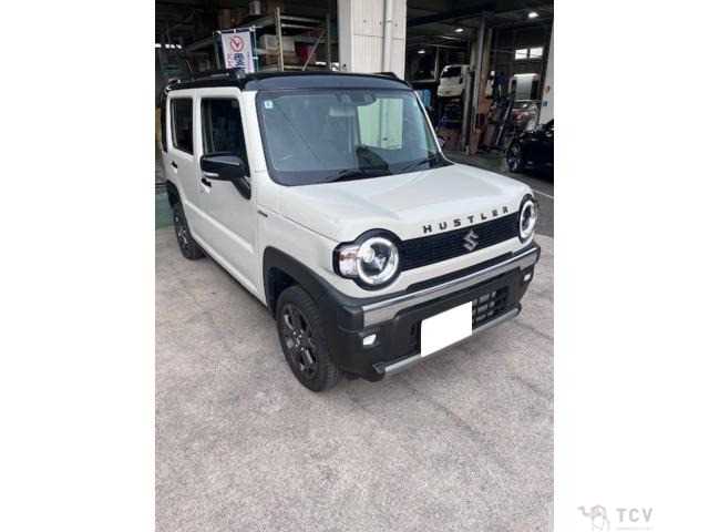 2024 Other All Other All