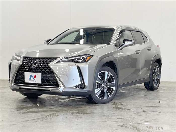 2018 Lexus Other