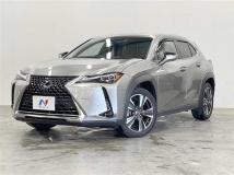 2018 Lexus Other