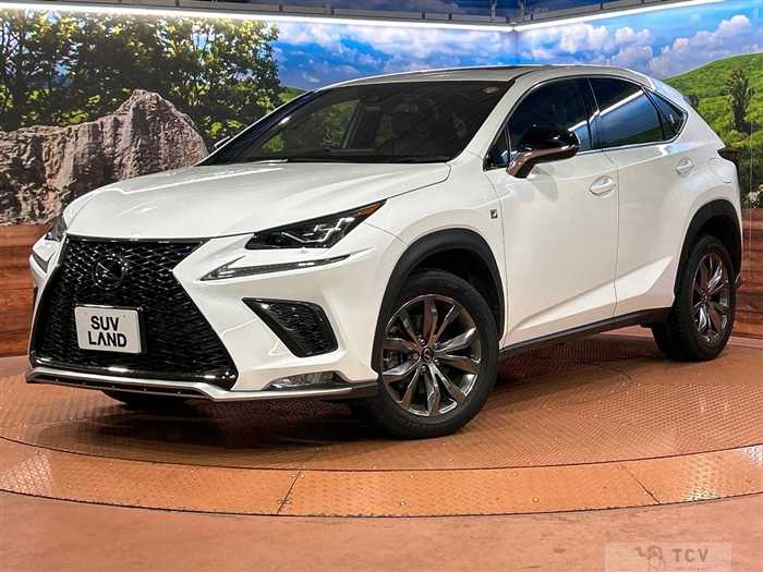 2019 Lexus NX