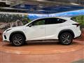 2019 Lexus NX