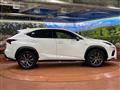 2019 Lexus NX