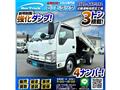 2010 Isuzu Isuzu Others