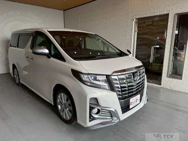 2015 Toyota Alphard G