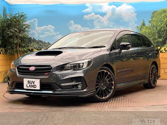 2019 Subaru Levorg