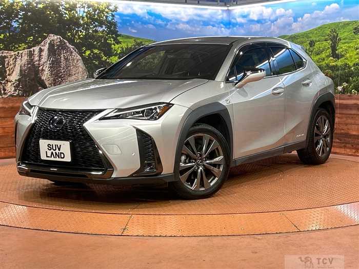 2019 Lexus Other