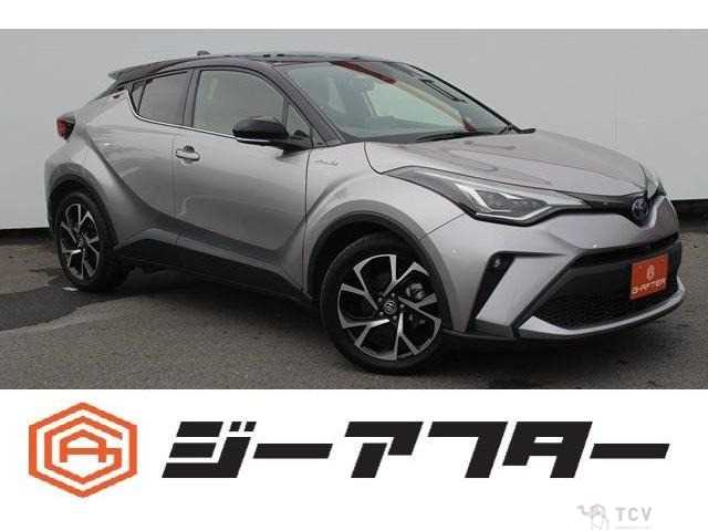 2019 Other All Other All