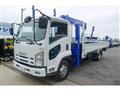 2010 Isuzu Isuzu Others