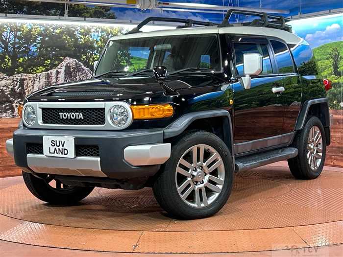 2011 Toyota FJ Cruiser