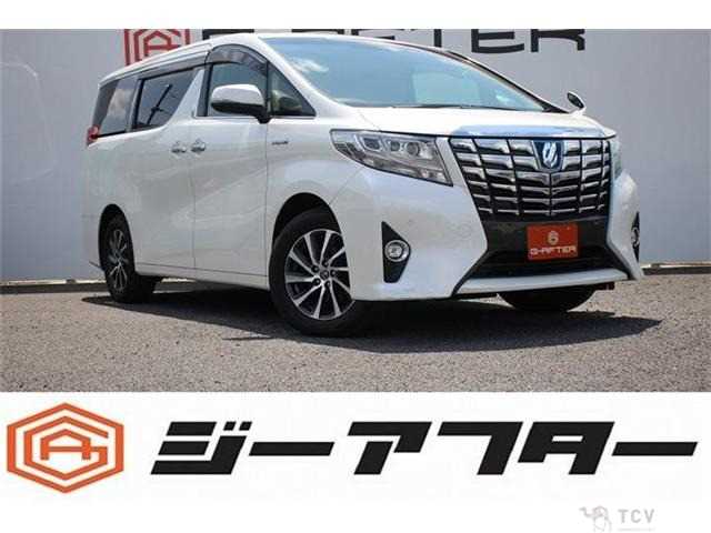 2016 Toyota Alphard G
