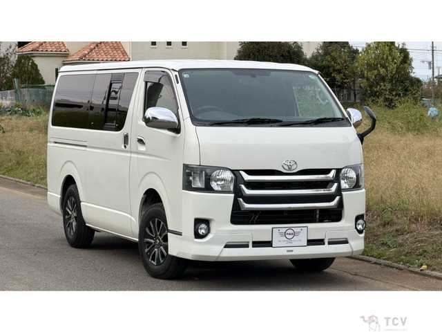 2009 Toyota Hiace Van