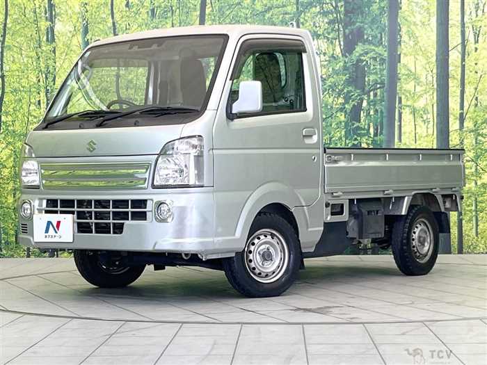 2020 Suzuki Carry Truck