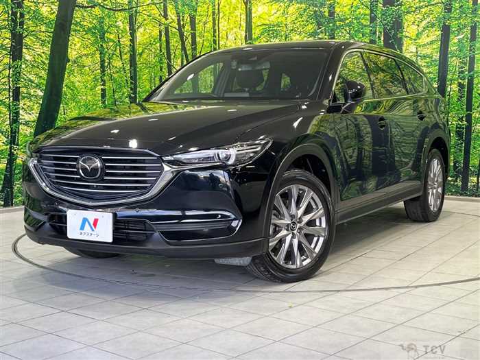2019 Mazda CX-8