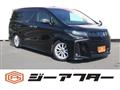 2020 Toyota Alphard G