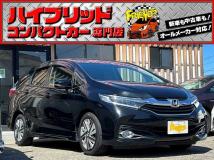 2016 Other All Other All