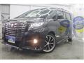 2017 Toyota Alphard G