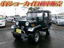 1998 Mitsubishi Jeep