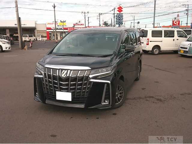 2019 Toyota Alphard G