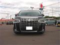 2019 Toyota Alphard G