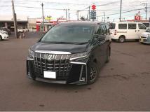 2019 Toyota Alphard G