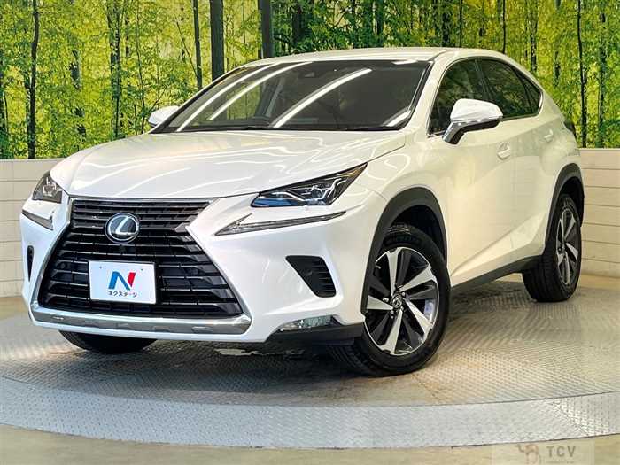 2018 Lexus NX