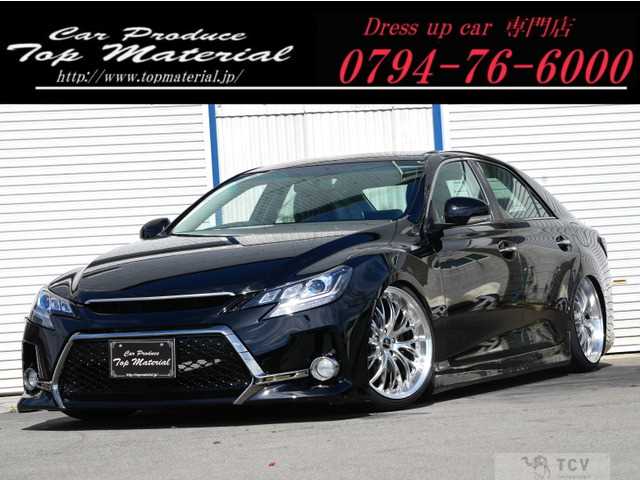 2010 Toyota Mark X