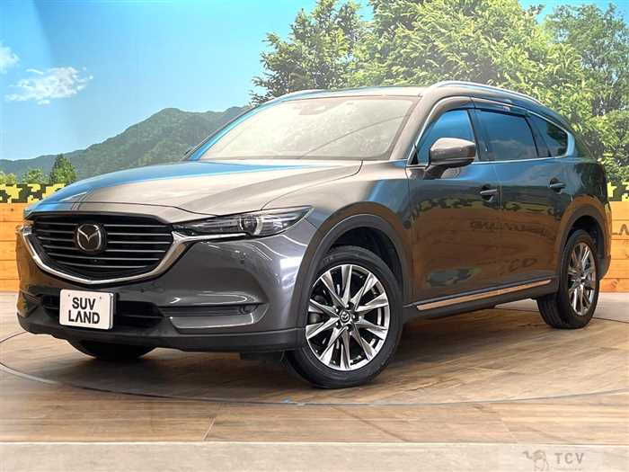 2019 Mazda CX-8