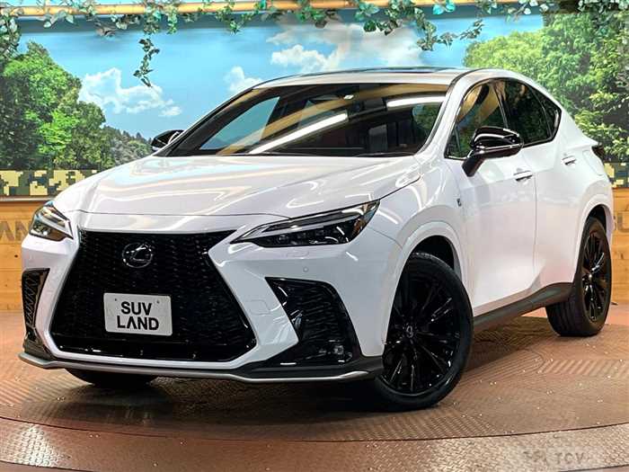 2023 Lexus NX