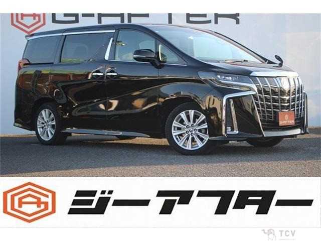 2019 Toyota Alphard G