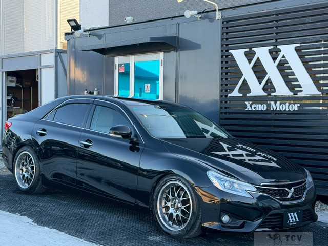 2010 Toyota Mark X