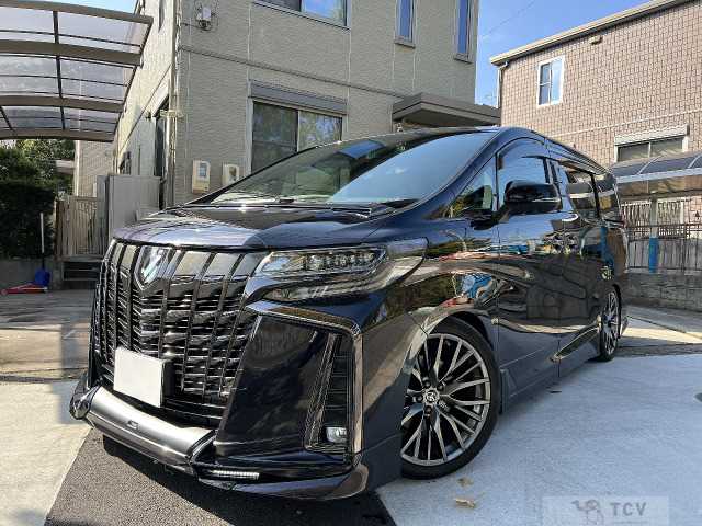 2019 Toyota Alphard G