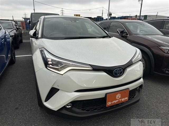 2019 Other All Other All