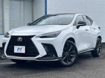 2022 Lexus NX