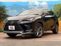 2020 Lexus NX
