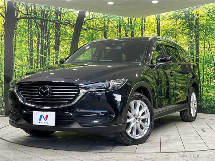 2018 Mazda CX-8
