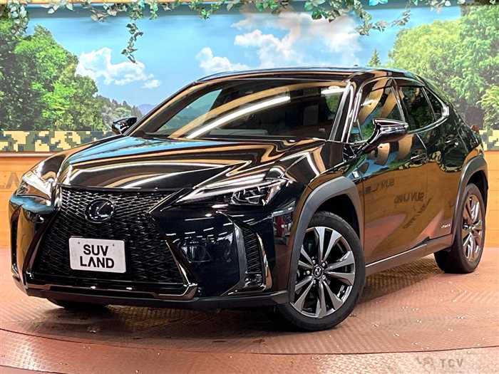 2019 Lexus Other