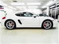 2014 Porsche Cayman