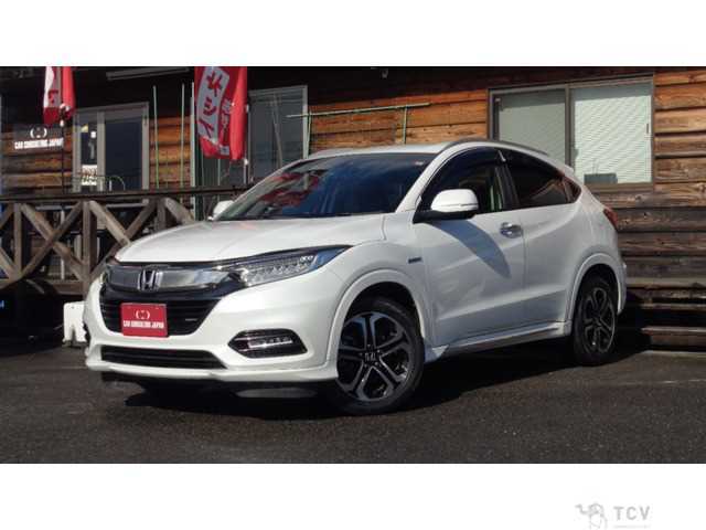 2019 Other All Other All