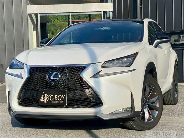 2015 Lexus NX