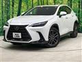 2022 Lexus NX