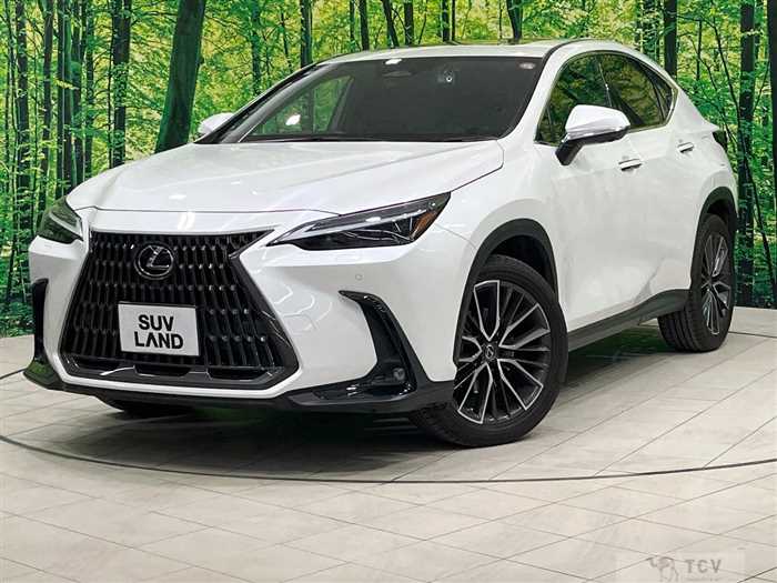 2022 Lexus NX