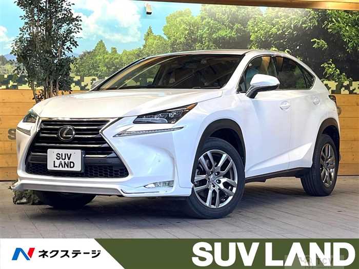 2014 Lexus NX