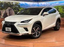 2018 Lexus NX